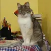 Отзыв от Алина Зимина